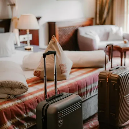 Grandhotel Business-wellness & Gourmet 利恩茨