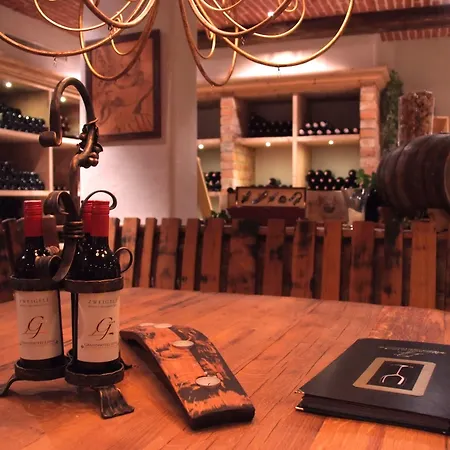 Grandhotel Business-wellness & Gourmet