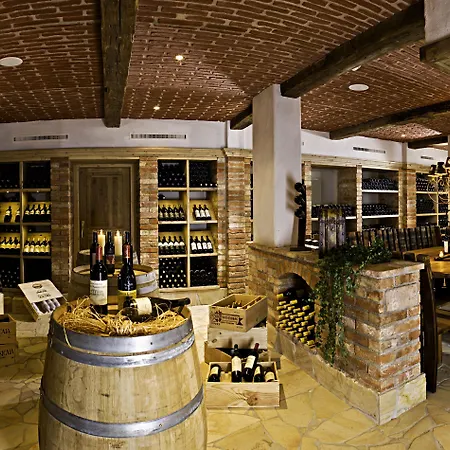 Grandhotel Business-wellness & Gourmet 5* 리엔츠