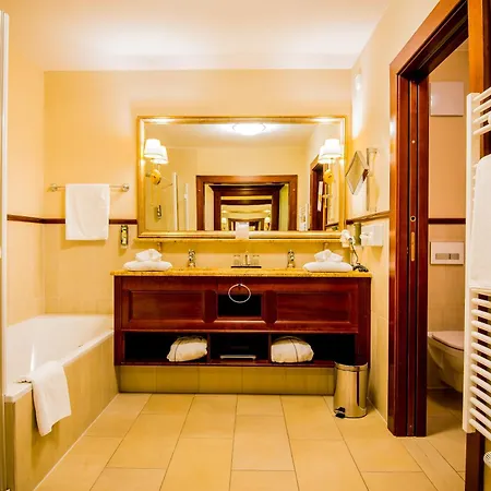 Grandhotel Business-wellness & Gourmet 5* 리엔츠